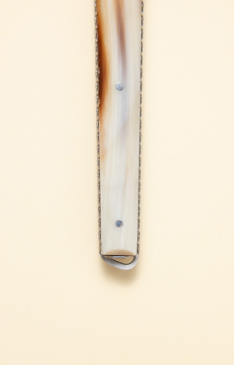 Photo rapprochée de l'extrémité de Taldea, couteau de table en corne de vache, platines ciselées