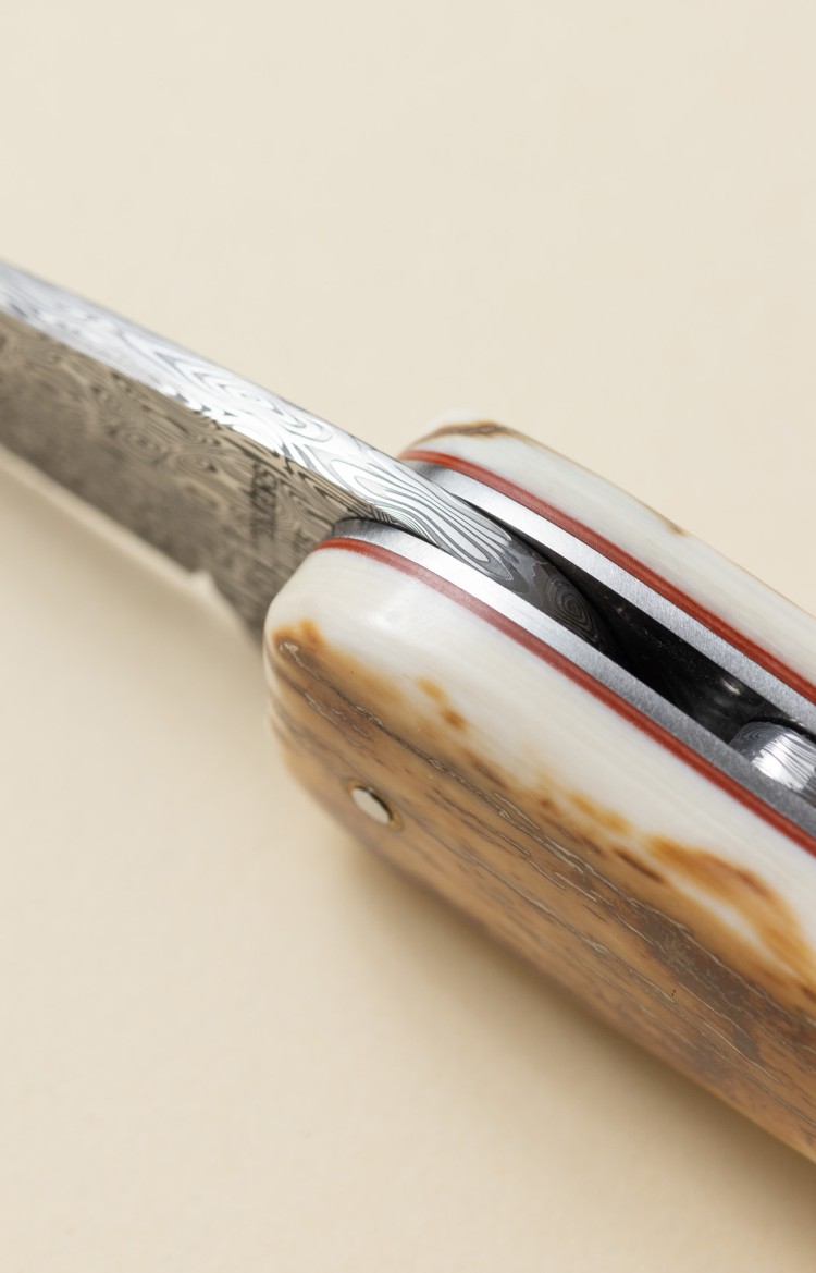 Photo du dessus de Bixia, couteau basque en ivoire de mammouth et lame damas, intercalaires rouges