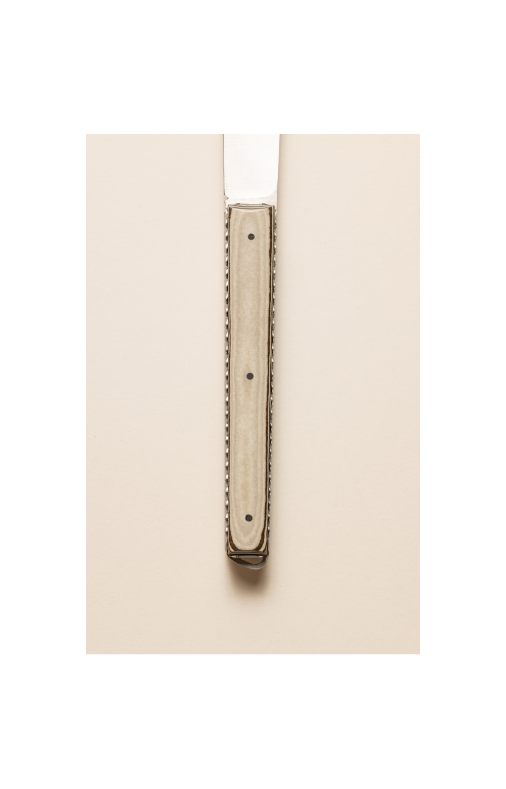 Taldea, couteau de table en paperstone