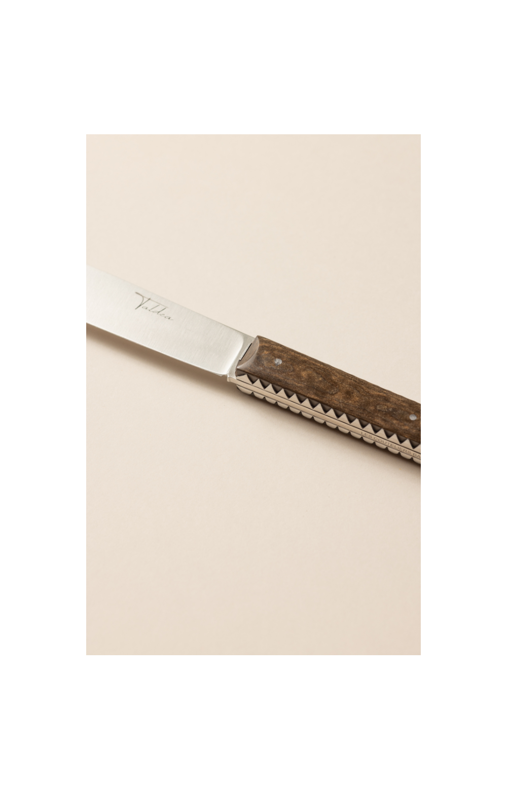 Taldea, couteau de table en paperstone