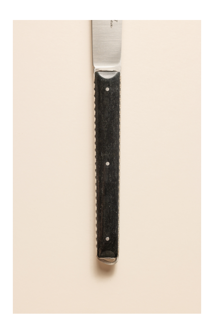 Taldea, couteau de table en paperstone
