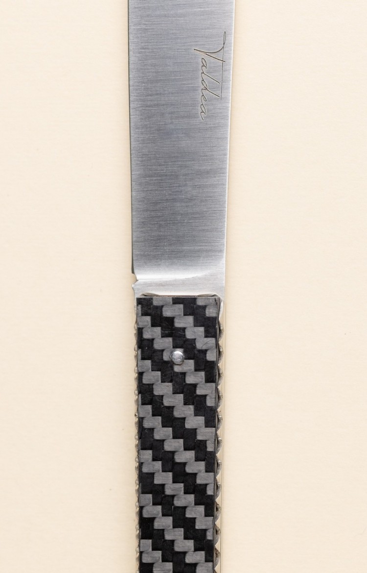Photo de Taldea couteau de table en fibre de carbone, plan rapproché