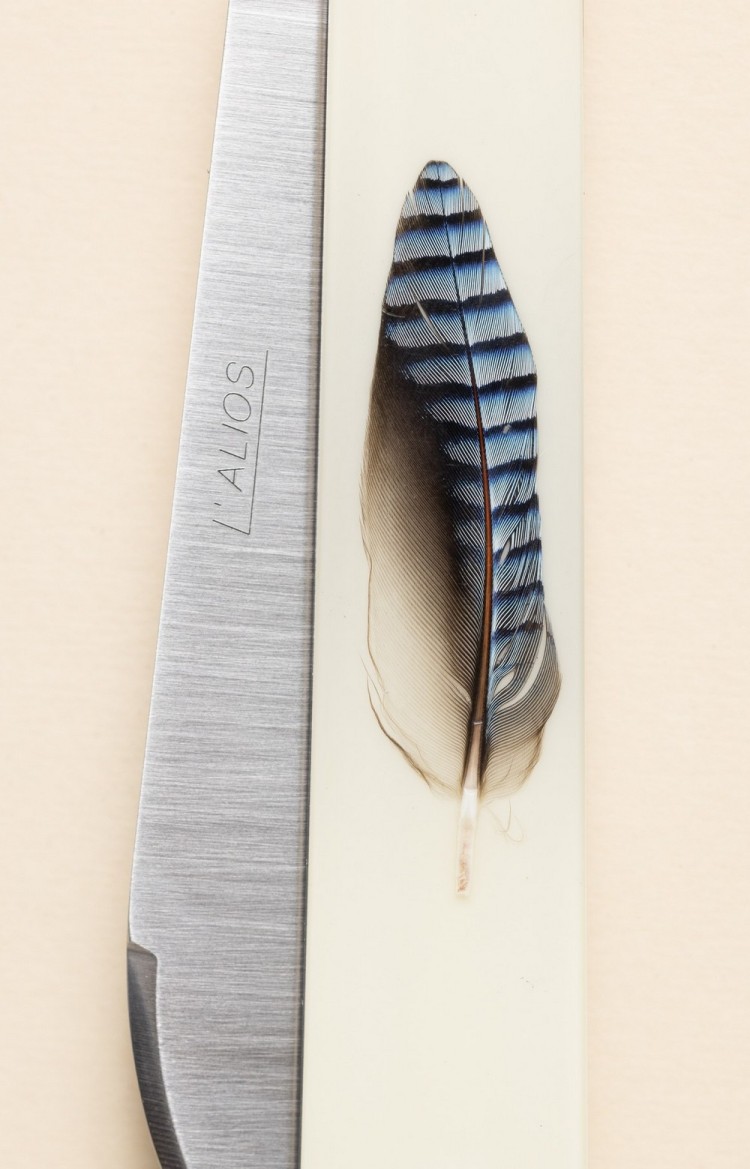 L'Alios, folding knife with jay feather