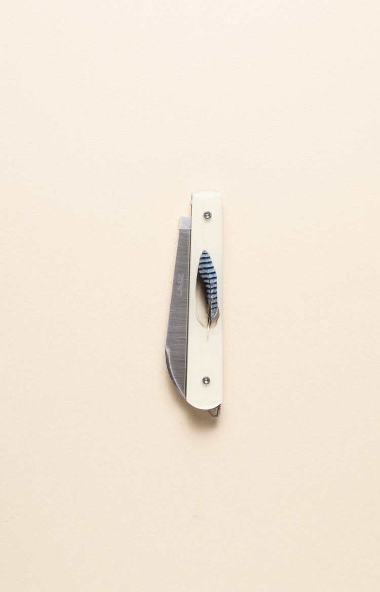 Photo du couteau artisanal l'Alios en plume de geai sur fond blanc, lame fermée