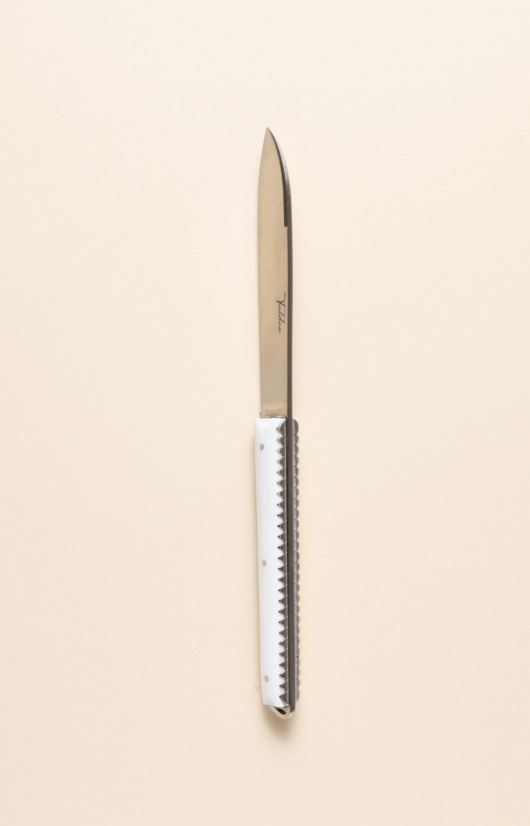 Photo de Taldea, couteau de table en acrylique, vue sur le dos et le ciselage des platines