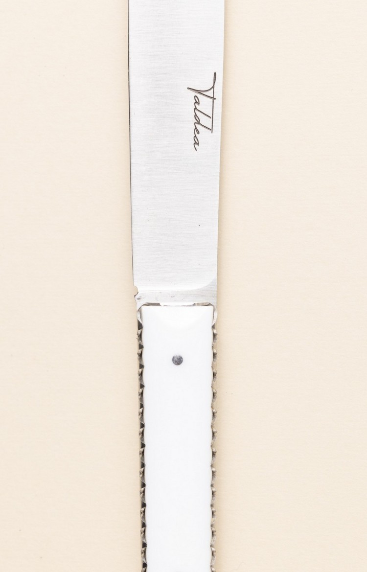 Photo de Taldea couteau de table en acrylique, plan rapproché