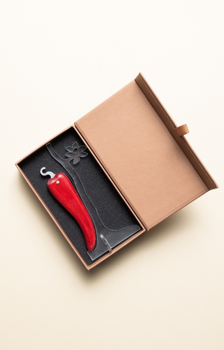 Photo de Bixia couteau artisanal basque piment d'Espelette rouge sur son support en plexi et dans sa boite
