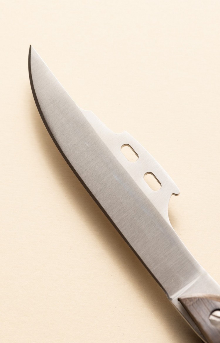 Photo de la lame du couteau Pinasse